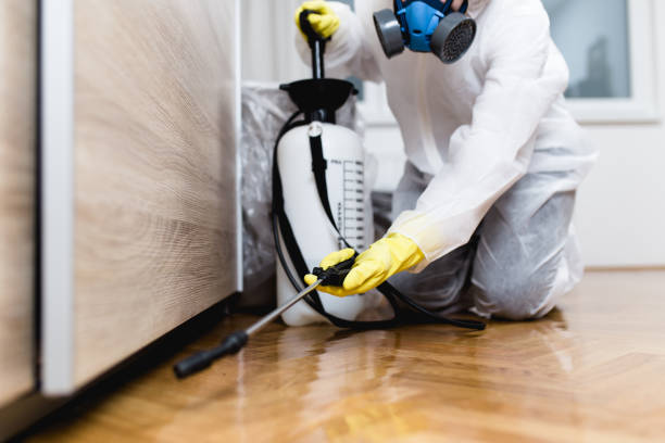 Best Local Pest Control Services  in Urania, LA