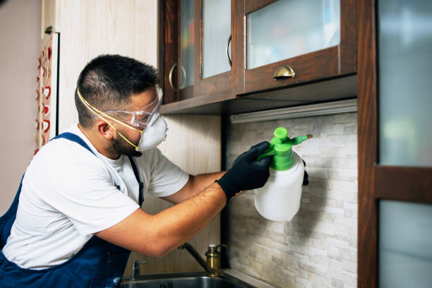 Best Residential Pest Control  in Urania, LA