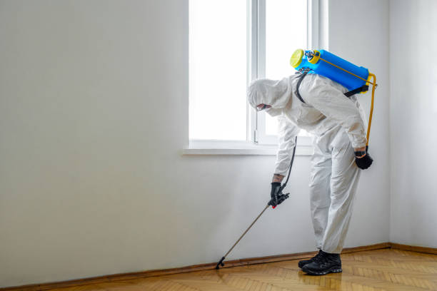 Best Commercial Pest Control Services  in Urania, LA