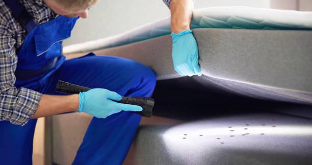 Best Pest Prevention Services  in Urania, LA