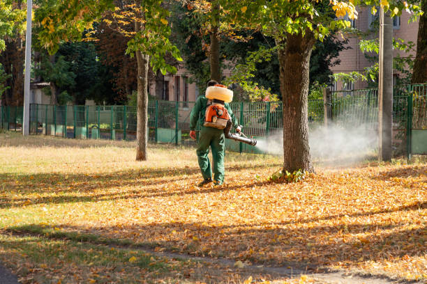 Best Best Pest Control Companies  in Urania, LA