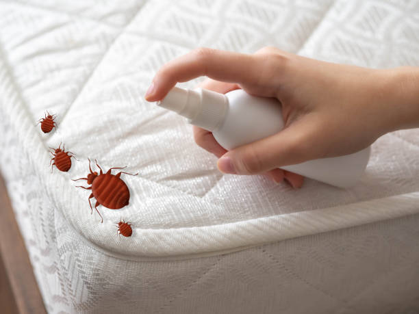 Best Flea Control Services  in Urania, LA