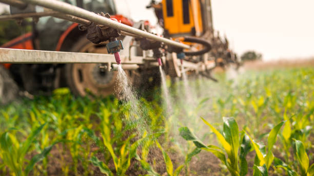 Best Mosquito Control Services  in Urania, LA