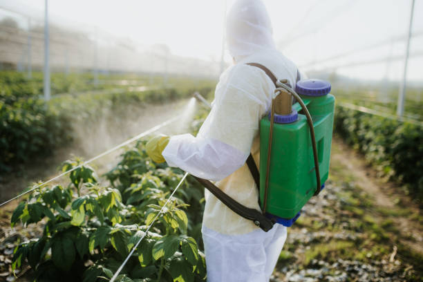 Best Pest Control for Restaurants  in Urania, LA